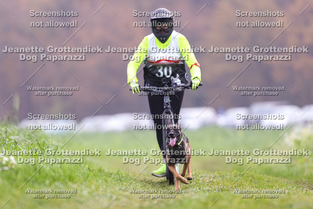 Dog Paparazzi - Visbeck 25 -298 | Dog Paparazzi Jeanette Grottendiek Fotografie & Videografie