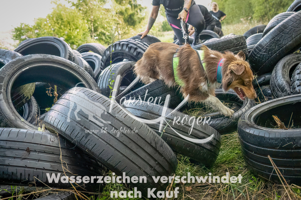 1042_ZZ90247-Bearbeitet | kk-dogfotos
