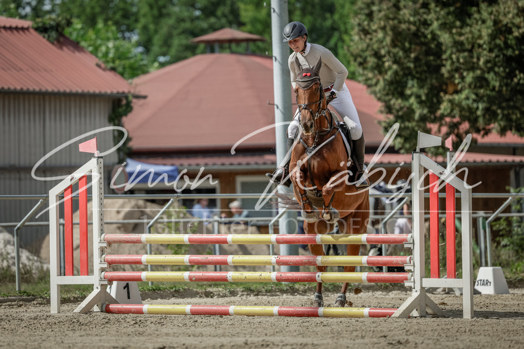 20250906-_3LI6090 | Tierfotografie Pferde, Hunde, Katzen, Haustiere.
Turnierfotografie Reitturniere, Reiten, Springreiten, Dressur in Hanau, dem Main-Kinzig-Kreis und dem Rhein-Main- Gebiet um Frankfurt