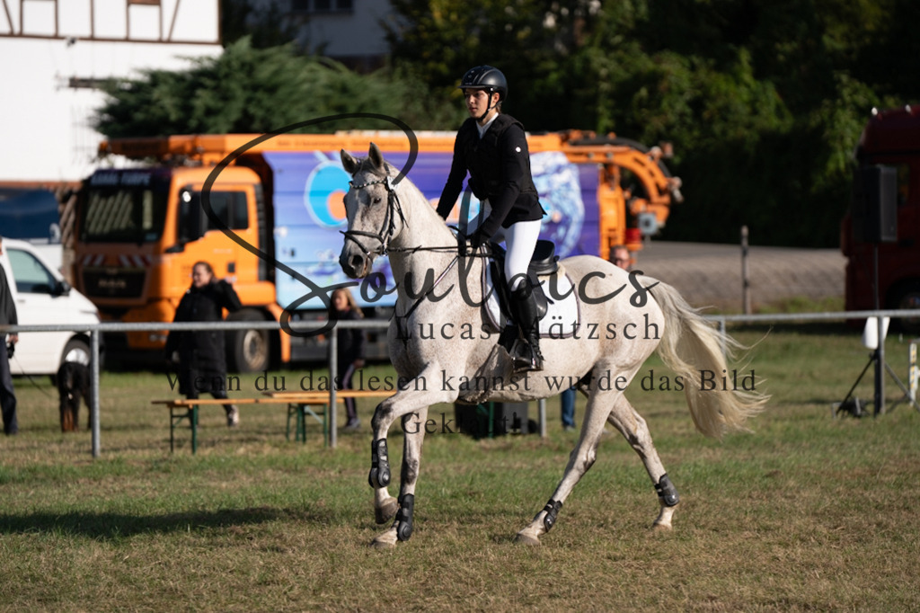 A7V08105 | Pferdefotograf