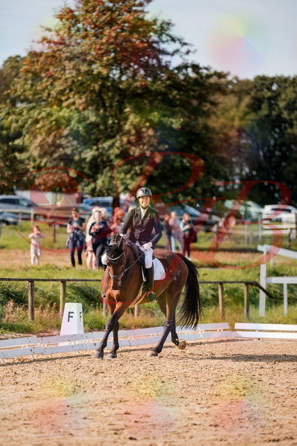2026_10_03_Siefer-Hof_122908_Z63_50117267 | Professionelle Reitsport-, Turnier- und Eventfotografie von Robert Broda. Galerien mit ausgewählten und bearbeiteten Bildern direkt online ansehen und bestellen.