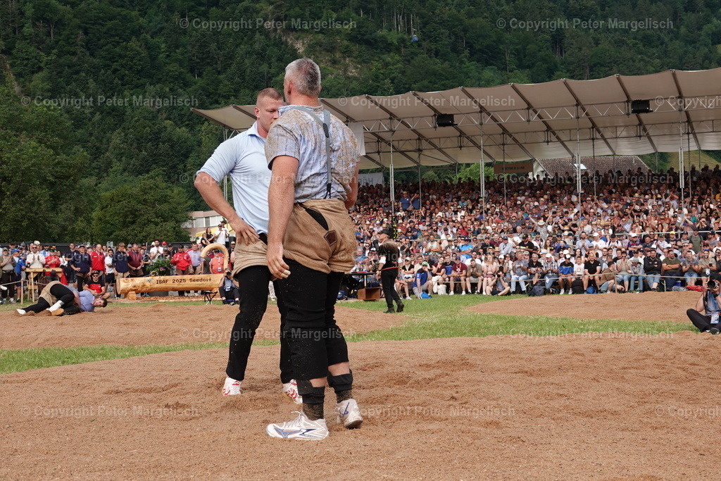 DSC01189 | Schwingen - Realisiert mit Pictrs.com