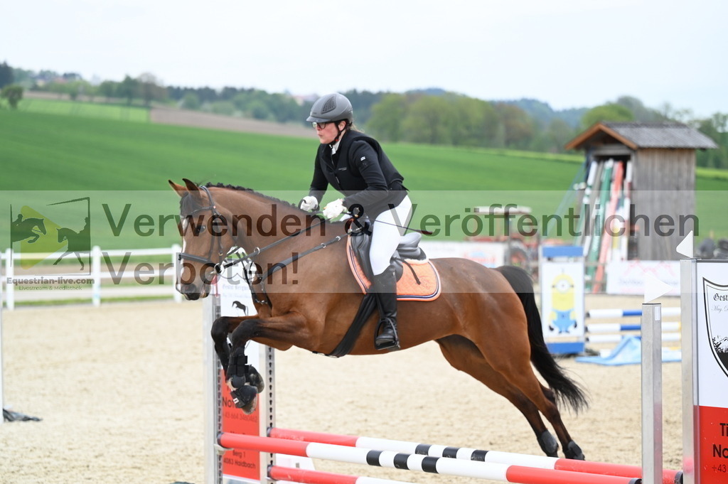 DSC_1973 | equestrian-live-com