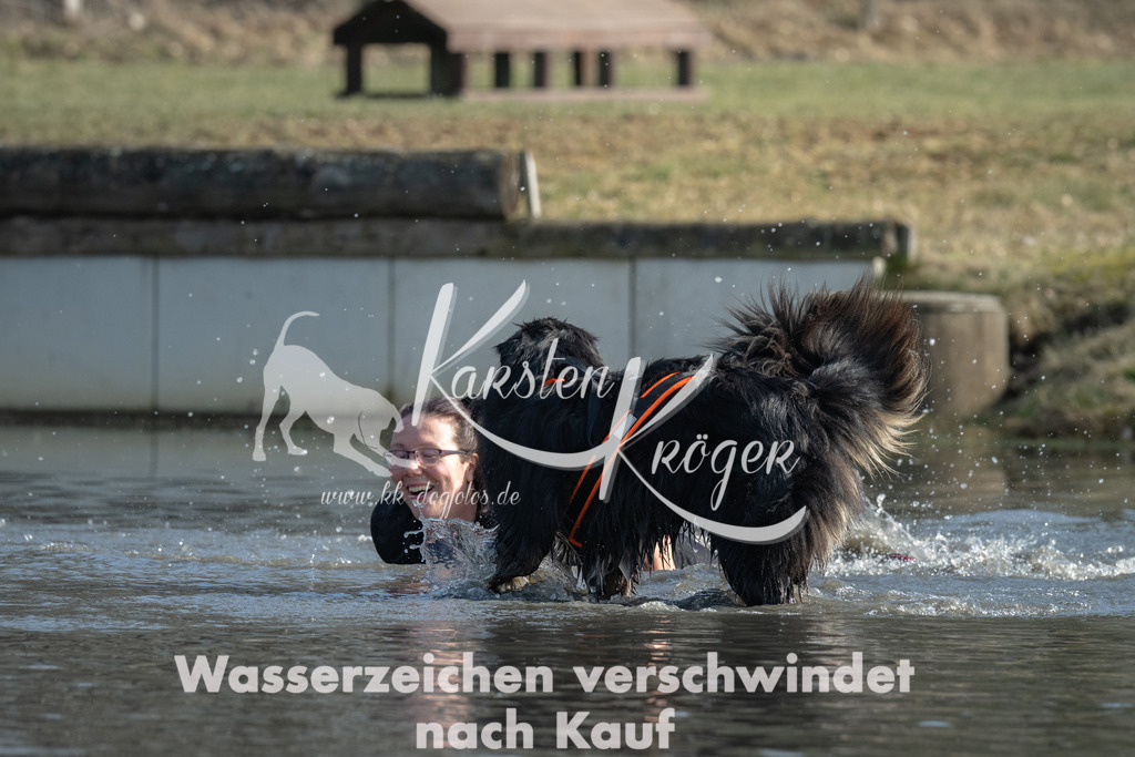 1335_ZZ97374 | kk-dogfotos