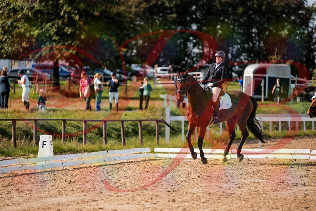 2026_10_03_Siefer-Hof_130342_Z63_65998799 | Professionelle Reitsport-, Turnier- und Eventfotografie von Robert Broda. Galerien mit ausgewählten und bearbeiteten Bildern direkt online ansehen und bestellen.