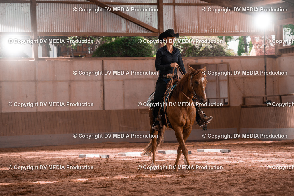 NE100612 | dv-media-shop - Realisiert mit Pictrs.com