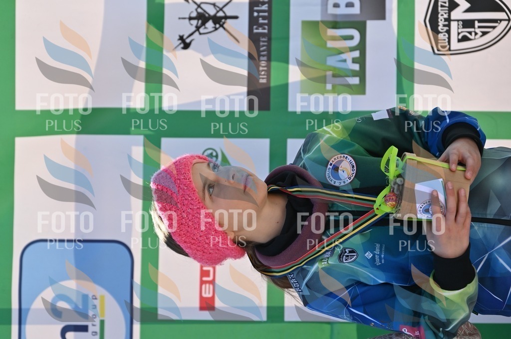 C7346 | holidayphoto