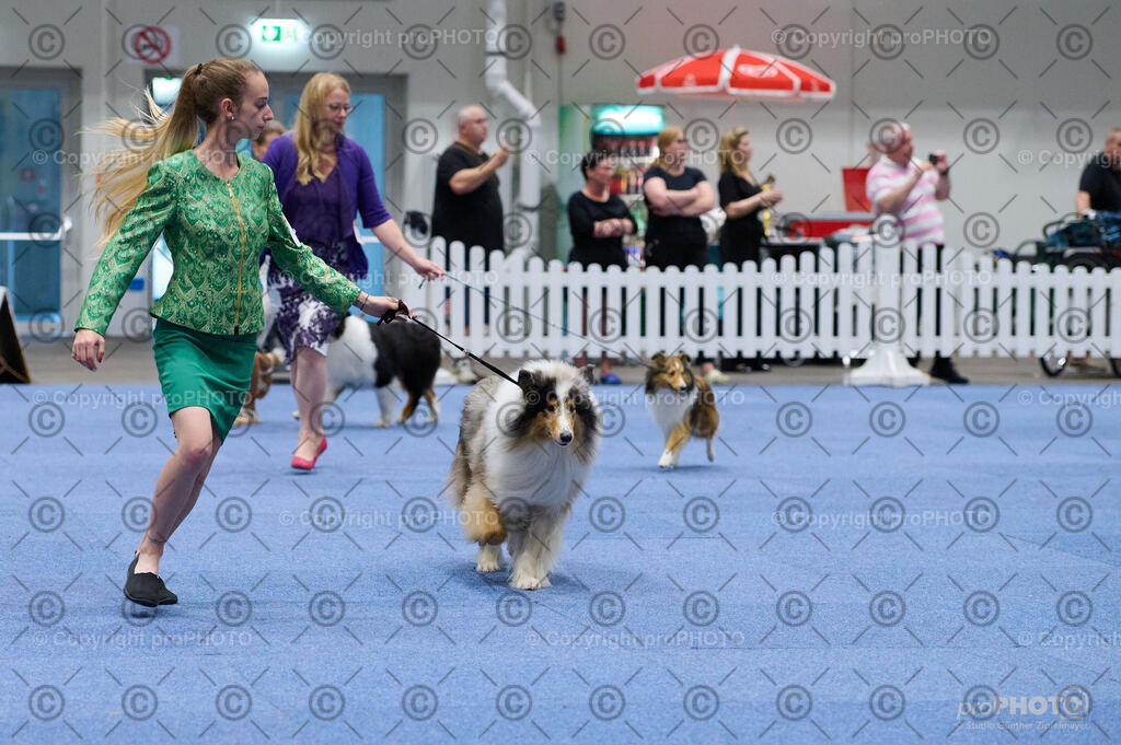 202406_ÖKV-IHA-Tulln24_DSC_3287 | proPHOTO - Realisiert mit Pictrs.com