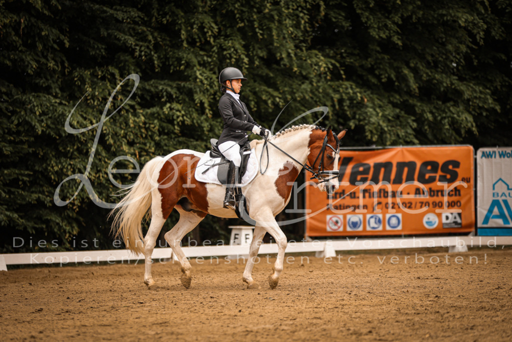 DoDrE00210 | Leoni Ertmer Photography - Realisiert mit Pictrs.com