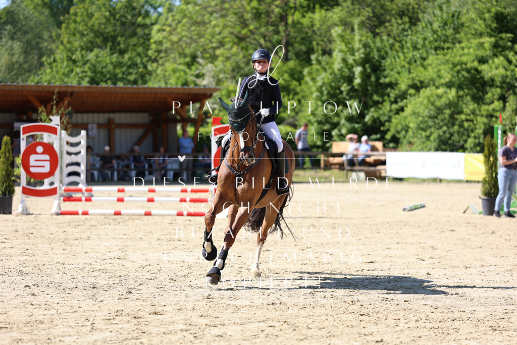 IMGS4651 | pl-fotografie