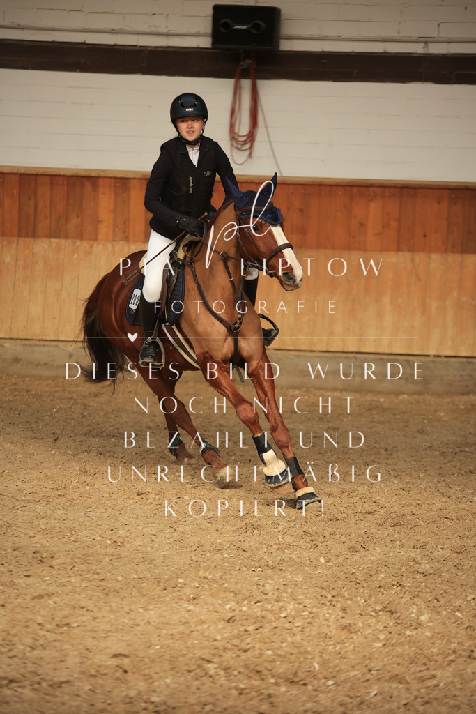 IMGT9508 | pl-fotografie