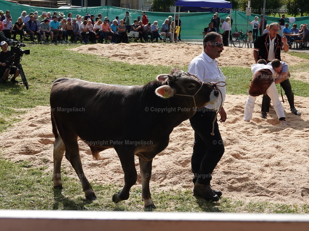 DSC05782 | Schwingen - Realisiert mit Pictrs.com