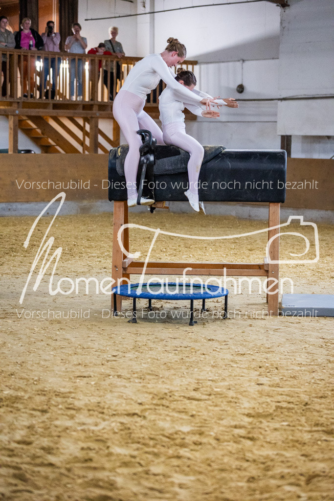 Holzpferd-112 | MomenTaufnahmen Pferdesportfotos