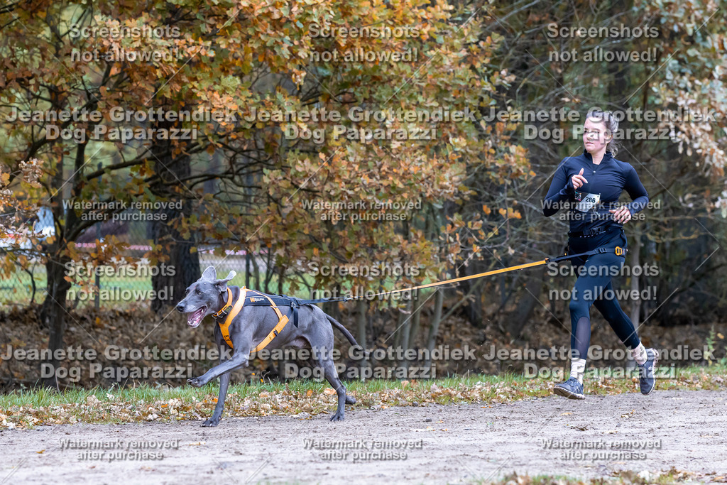 Dog Paparazzi - SD CaniX Championship 2025-433 | Dog Paparazzi Jeanette Grottendiek Fotografie & Videografie - Realisiert mit Pictrs.com