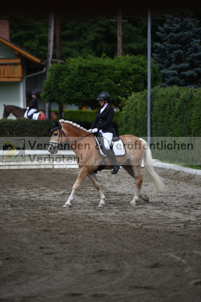 DSC_5061 | equestrian-live-com