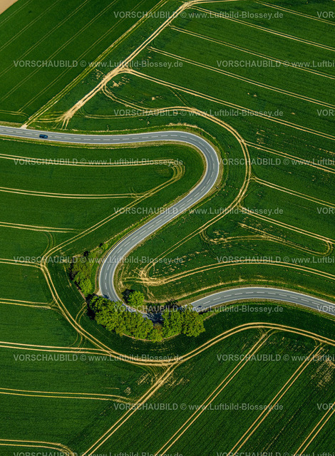 Brakel240504906Erkeln | Luftbild, Serpentine der Landesstraße L863, schlangenförmige Straße führt durch grüne gestreifte Felder, Baumgruppe am Straßenrand, Erkeln, Brakel, Ostwestfalen, Nordrhein-Westfalen, Deutschland