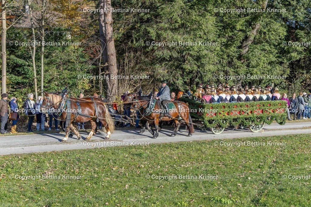 LBT25-584 | foto-bettina-krinner - Realisiert mit Pictrs.com