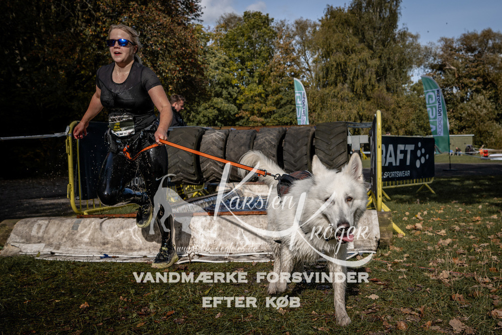 1346_ZZ92980 | kk-dogfotos