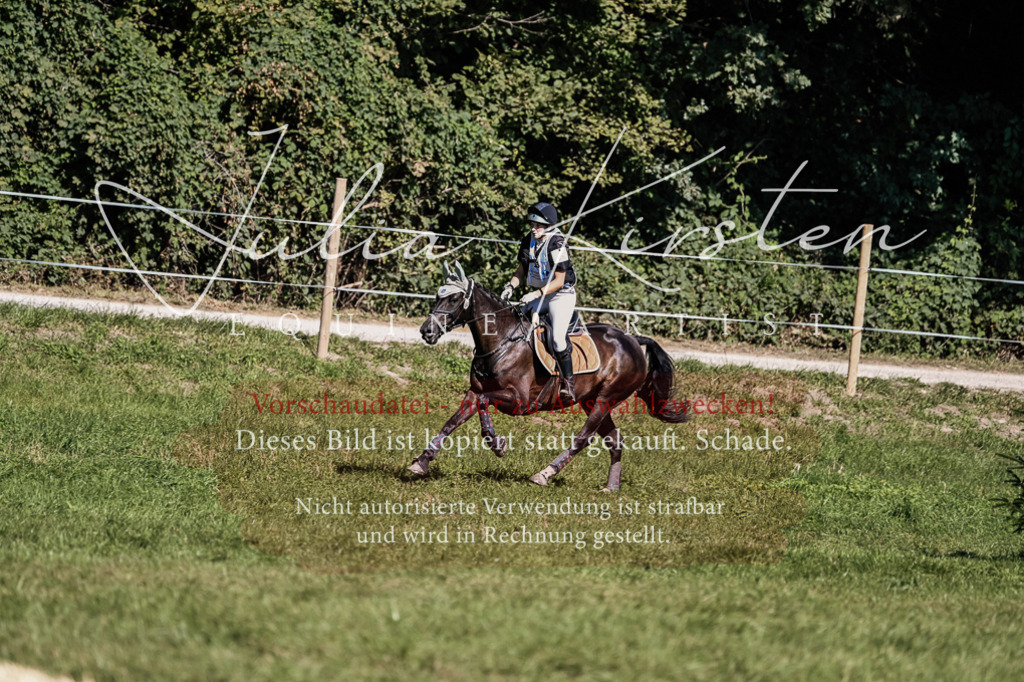 DSC_1776 | Pferde- und Turnierfotografie in Westsachsen. Pferdeportraits, Auftragszeichnungen und intuitive Kunst.