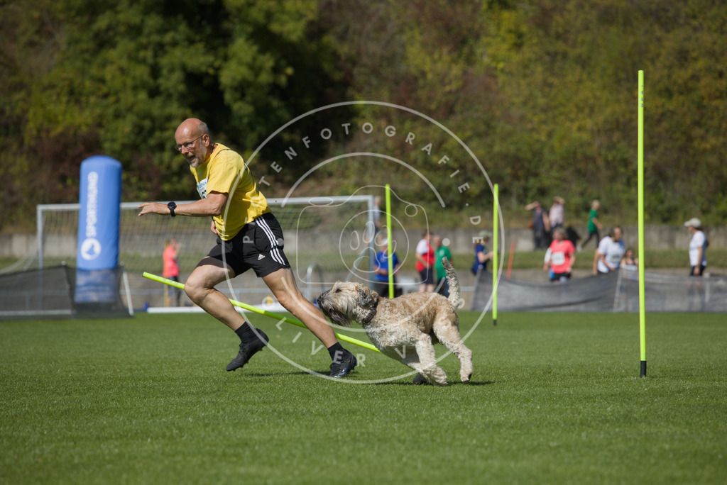 0L8A6335 | Hundefotografie, Tierfotograf, Pfotenfotografie, Fotoshooting Hund, Hunde Portrait, Hundesport, Hundeportraits, Heideshooting, Hunde, Sportfotograf, Hundefotograf, Turnierhundsport, THS,  - Realisiert mit Pictrs.com