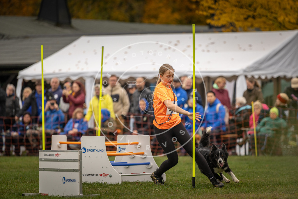 Pfotenfotografie_DV3A6570 | Hundefotografie, Tierfotograf, Pfotenfotografie, Fotoshooting Hund, Hunde Portrait, Hundesport, Hundeportraits, Heideshooting, Hunde, Sportfotograf, Hundefotograf, Turnierhundsport, THS,  - Realisiert mit Pictrs.com