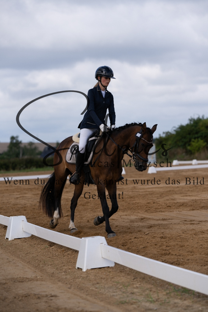 A7V05201 | Pferdefotograf