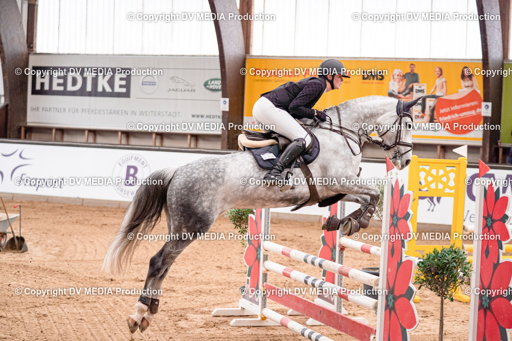 Kranichstein Tag 3-436 | dv-media-shop - Realisiert mit Pictrs.com