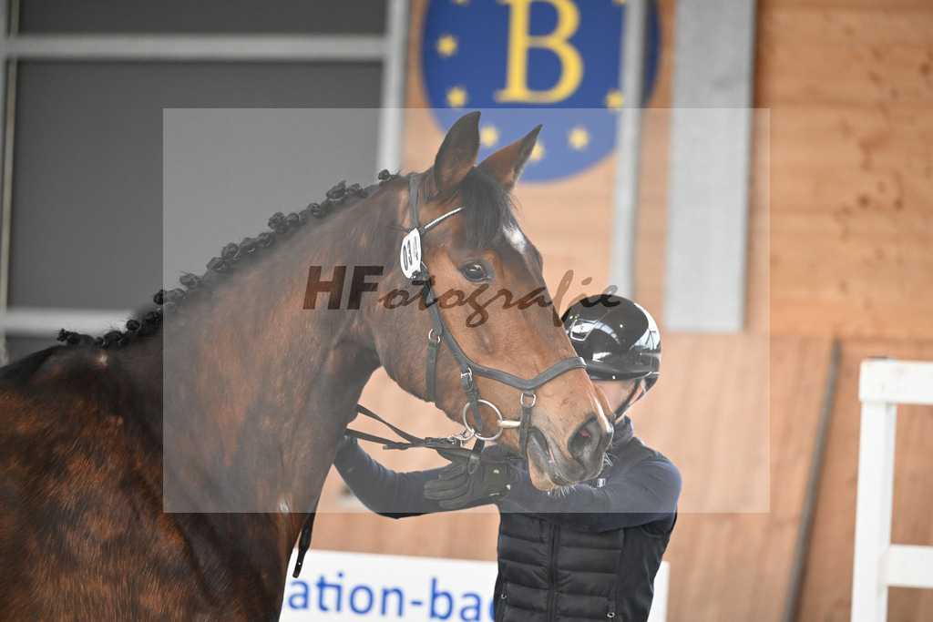 Kat-Nr. 34 Contessa v. Cullinan du Borget B_Pollnow_14260946 | hf-fotografie - Realisiert mit Pictrs.com