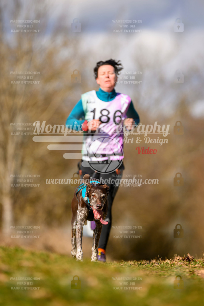 MompixPhotography_10Schwabentrail2026_SO_Canicross-99 | PayLife