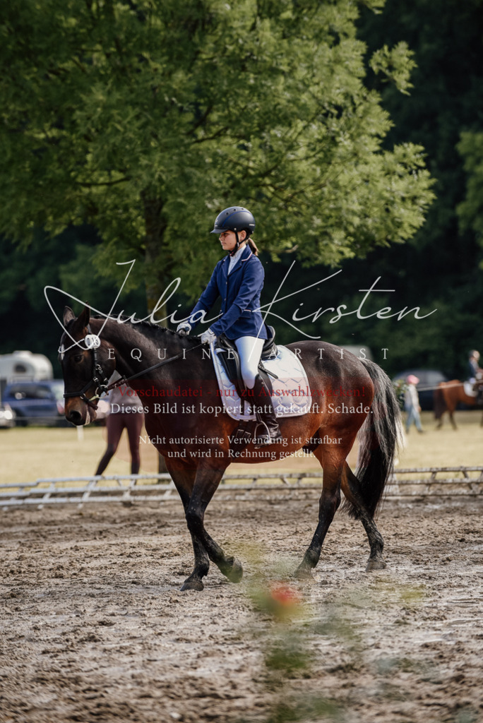 DSC_9103 | Pferde- und Turnierfotografie in Westsachsen. Pferdeportraits, Auftragszeichnungen und intuitive Kunst.