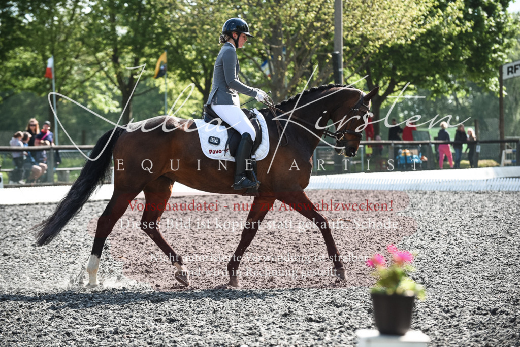 DSC_8953 | Pferde- und Turnierfotografie in Westsachsen. Pferdeportraits, Auftragszeichnungen und intuitive Kunst.