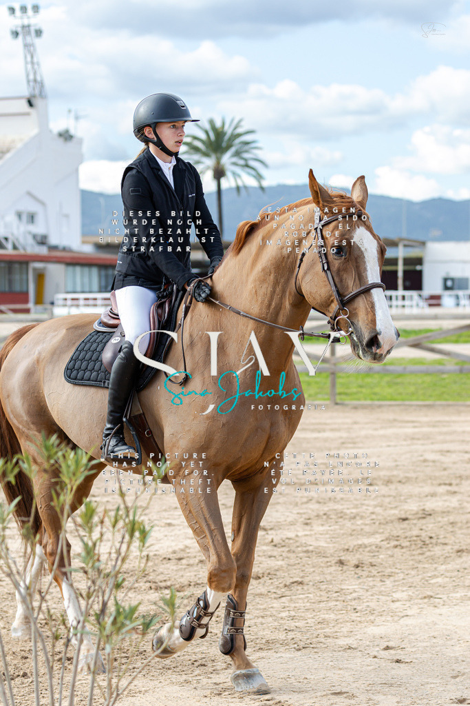 IMG_2950 | s-jay-photography - Realisiert mit Pictrs.com