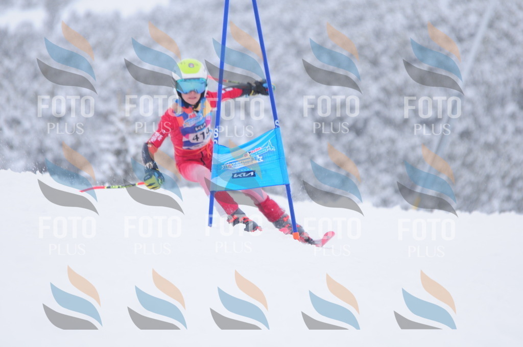 C4392 | holidayphoto