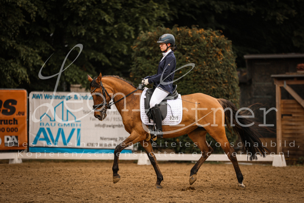 DoDrA00495 | Leoni Ertmer Photography - Realisiert mit Pictrs.com