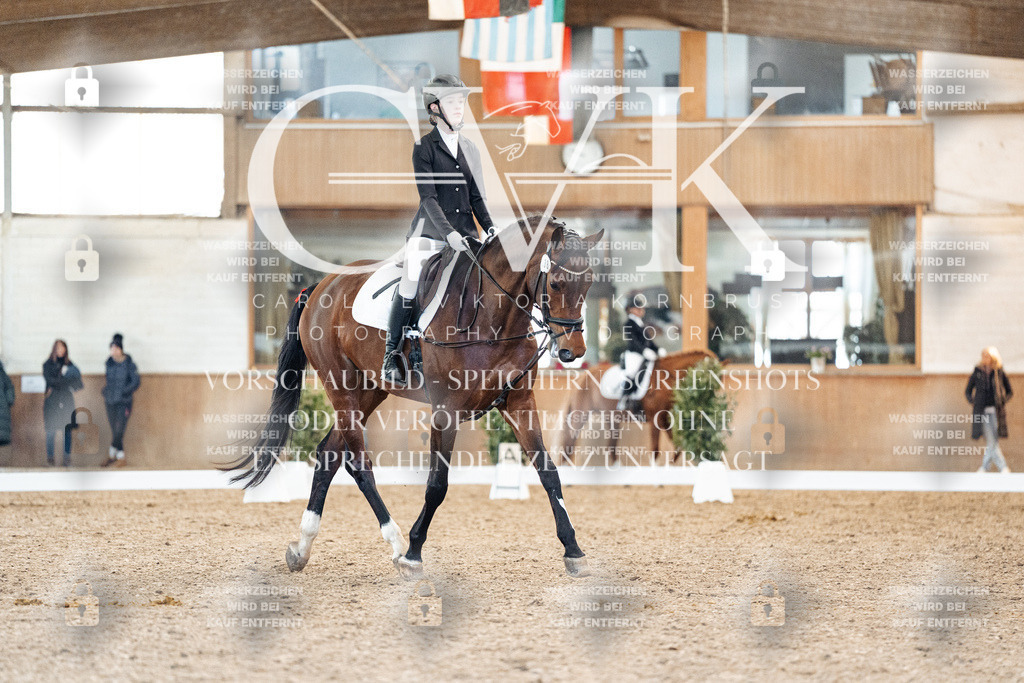 CK908035 | Turnierfotografie Pferdefotografie Trier Rheinland-Pfalz Pferdesport Reitsport Tierfotografie Sportfotografie Pferdevideo Pferdevideografie Equestrianvideography equestrianphotography  - Realized with Pictrs.com