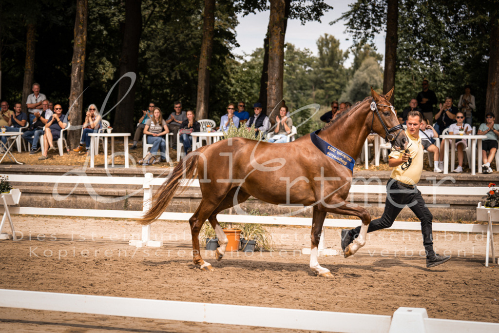 3.Fr00262 | Leoni Ertmer Photography - Realisiert mit Pictrs.com