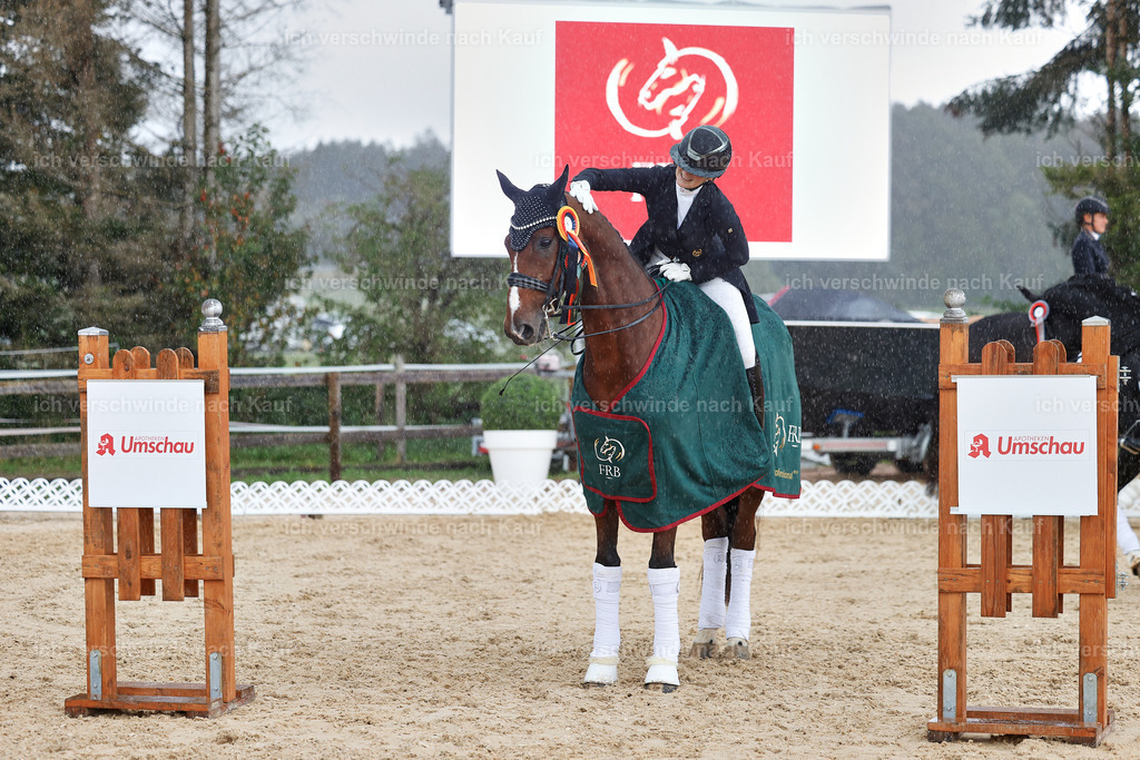 07-Siegerehrung-DRESSUR  S___  -StoibPH-5087 | working equitationturnier fotograf videograf stoibphotography marixx film working equitation deutschland reitsport turnierfotografie eventfotografie equestrian events