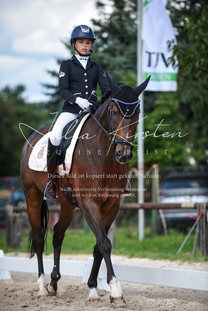 DSC_9412 | Pferde- und Turnierfotografie in Westsachsen. Pferdeportraits, Auftragszeichnungen und intuitive Kunst.