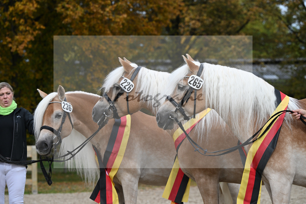 Bundessiegerfamilie_Stange_54223552 | hf-fotografie - Realisiert mit Pictrs.com
