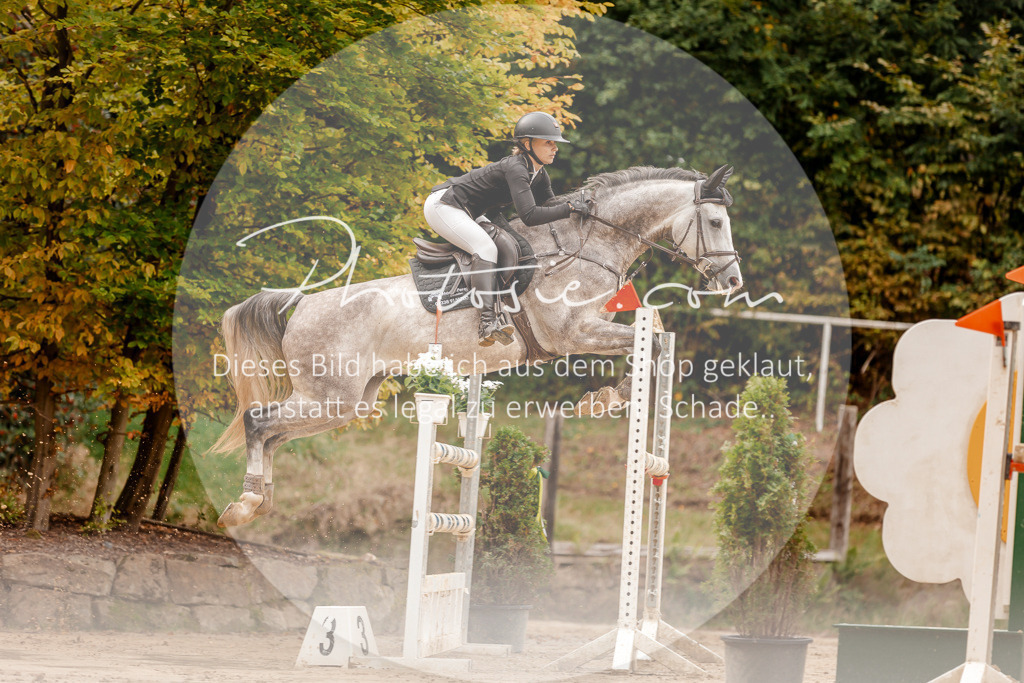 3I6A8138 | Stimmungsvolle Portraits und Reitsportfotografie im Ruhrgebiet und im Münsterland.

Pferdefotografie, Hundefotografie, Tierfotografie, Reportagen, Portraits von Tier und Mensch, Turnierfotografie in Bochum, Recklinghausen, Marl, Haltern am See, Dülmen.. - Realisiert mit Pictrs.com