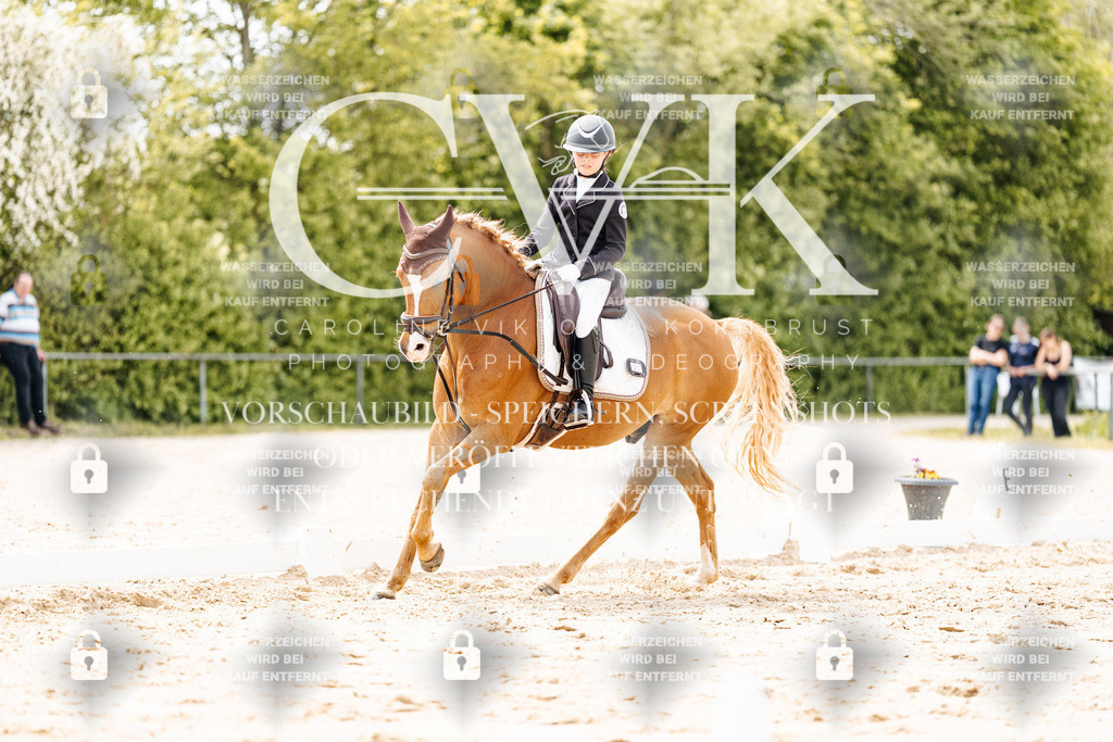 CK902555 | Turnierfotografie Pferdefotografie Trier Rheinland-Pfalz Pferdesport Reitsport Tierfotografie Sportfotografie Pferdevideo Pferdevideografie Equestrianvideography equestrianphotography  - Realisiert mit Pictrs.com