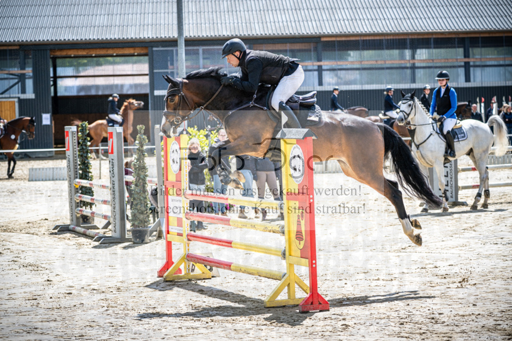 DOS_0399 | Reitturnier Lüdinghausen - Realisiert mit Pictrs.com