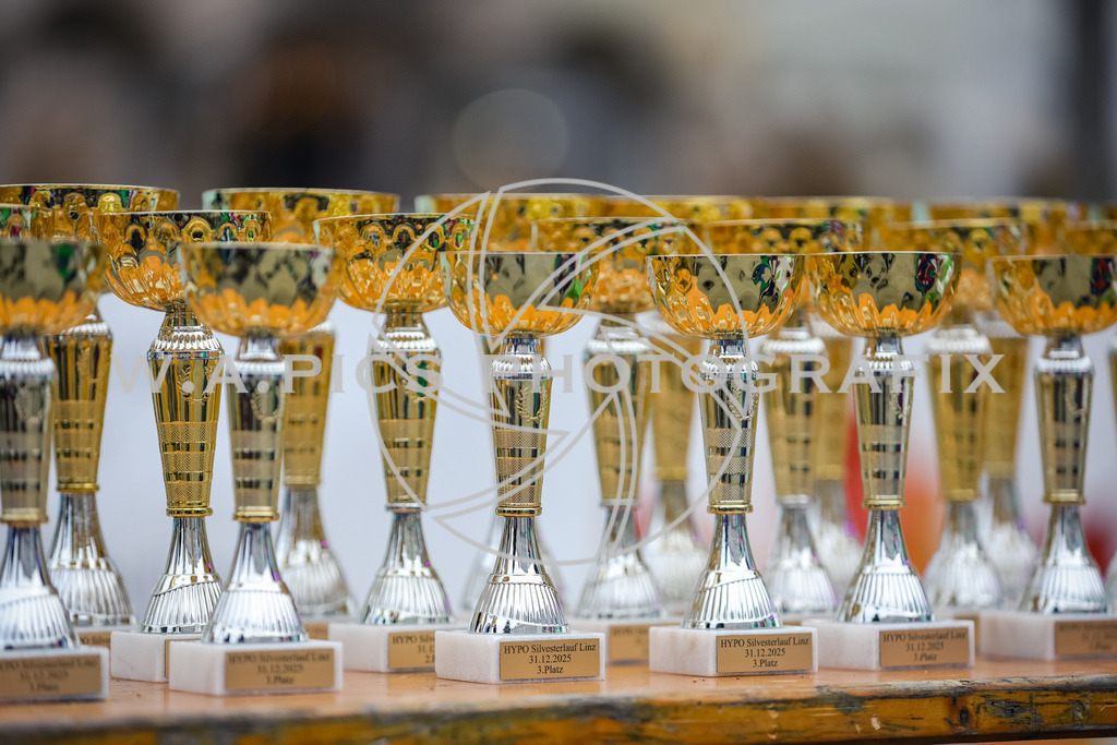 SILVESTERLAUF LINZ 25 | Linz, AUSTRIA, 31. Dezember 25, TRIRUN SILVESTERLAUF LINZ 25 , Image shows: 
Photo: WAPICS / BINDER Manuel