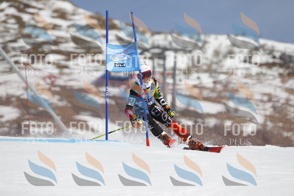 _U3G0850 | holidayphoto