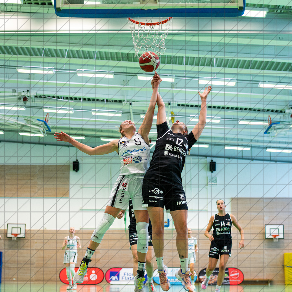 2. DBBL Nord 24/25 | 06.10.2024 | BBC OS vs. Bender Baskets Grünberg | 2. DBBL Nord 24/25 | 06.10.2024 | BBC OS vs. Bender Baskets Grünberg - - - - - CREDIT, www.bullenfotos.de, Martin König, Hörner Weg 40, D-49078 Osnabrück, +4917663732967, Nutzung und Weitergabe nur zu den vereinbarten Zwecken. Presseanfragen an Urheber. Alle Rechte beim Urheber. - - - - - - Realisiert mit Pictrs.com
