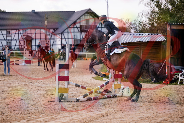2026_10_03_Siefer-Hof_144053_Z81_12293306 | Professionelle Reitsport-, Turnier- und Eventfotografie von Robert Broda. Galerien mit ausgewählten und bearbeiteten Bildern direkt online ansehen und bestellen.