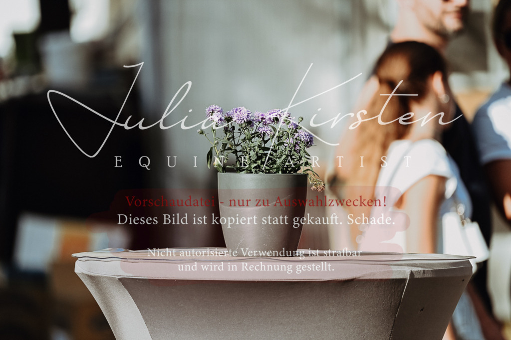 DSC_8907 | Pferde- und Turnierfotografie in Westsachsen. Pferdeportraits, Auftragszeichnungen und intuitive Kunst.