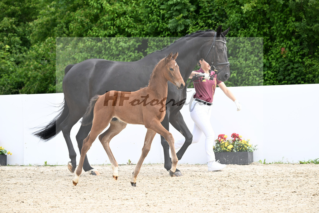 Veneno x Feriado_HF_Ederle_13250210 | hf-fotografie - Realizzato con Pictrs.com