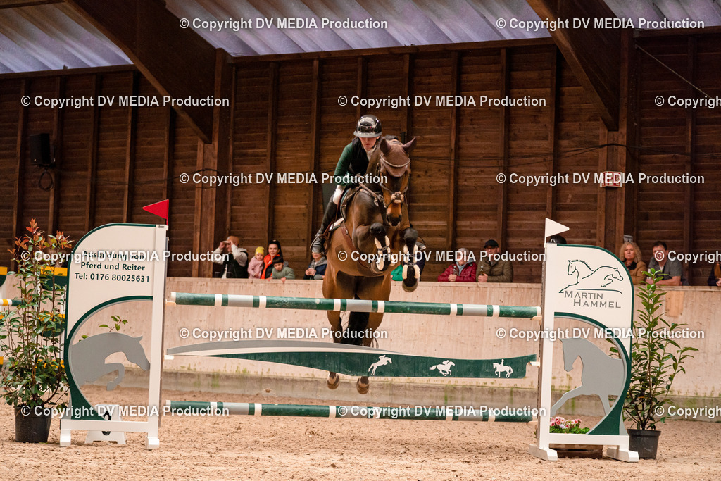 Springen Tag 3-347 | dv-media-shop - Realisiert mit Pictrs.com