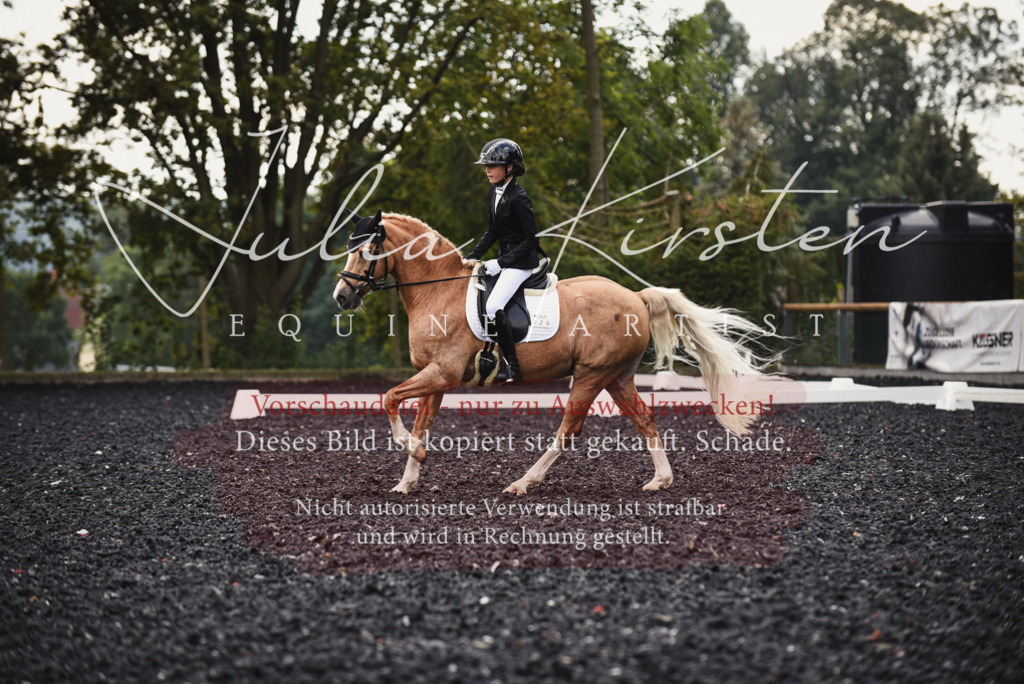 DSC_3835 | Pferde- und Turnierfotografie in Westsachsen. Pferdeportraits, Auftragszeichnungen und intuitive Kunst.